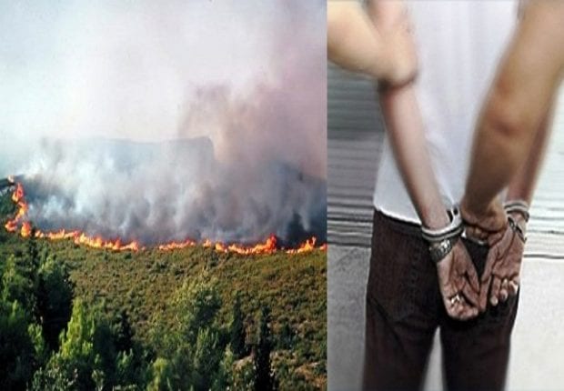 Médéa : Le pyromane responsable de l&rsquo;incendie de  la forêt de Béni-Atli écroué
