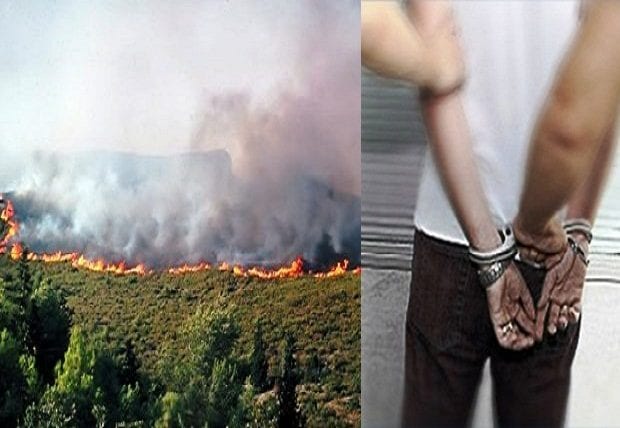 Médéa : Les deux mineurs responsables d&rsquo;un incendie à Béni-Slimane écroués