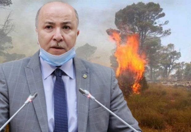 Feux de forêt et indemnisations : les précisions du ministre des Finances