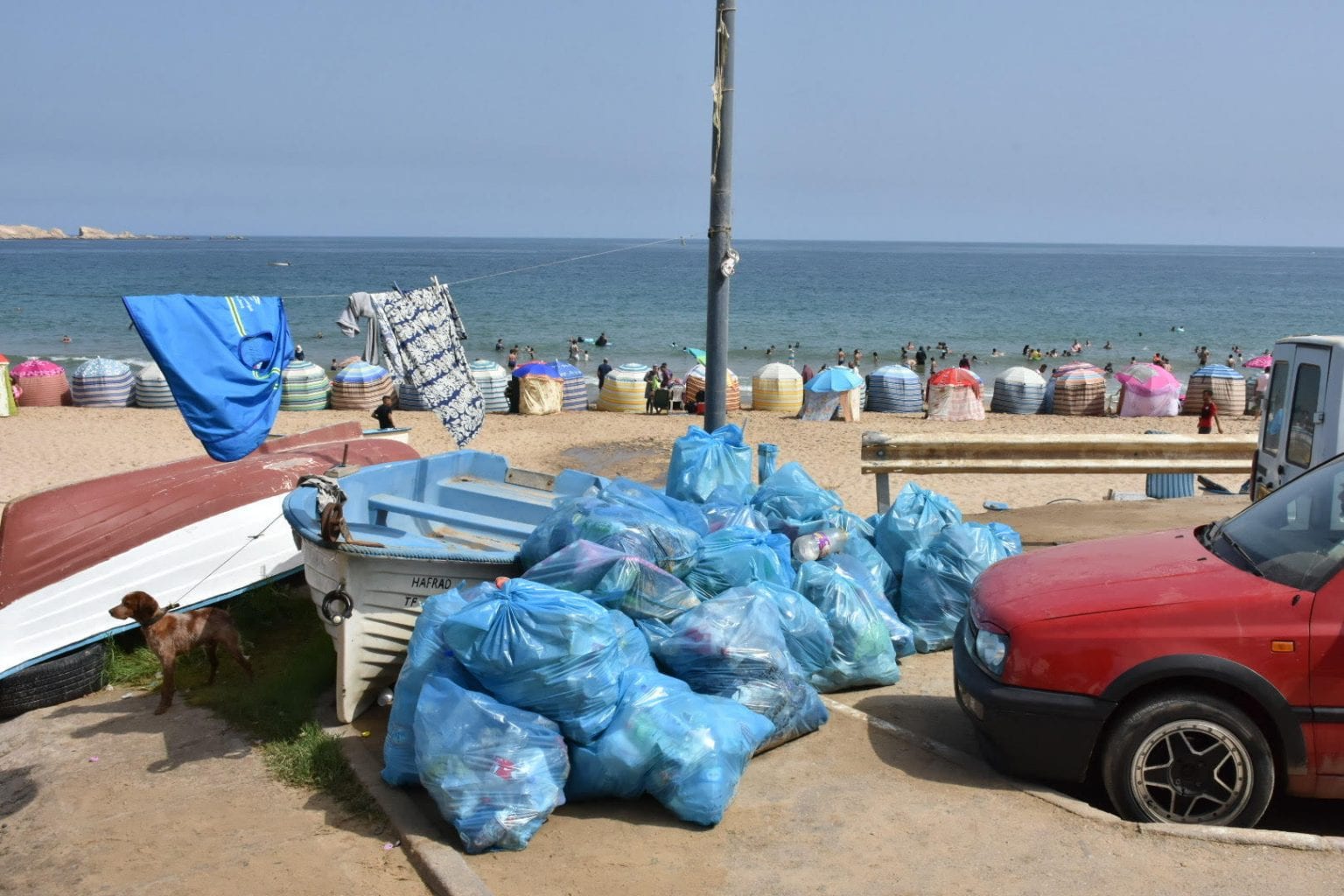 Réouverture des plages : La wilaya d’Alger dévoile les quantités de déchets collectés au niveau des plages
