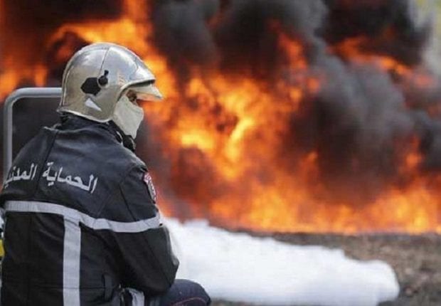 Tissemsilt : 226 hectares de forêts ravagés par les flammes