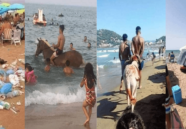 Réouverture des plages à la baignade : L’état « anarchique » des plages du littoral (Vidéo)