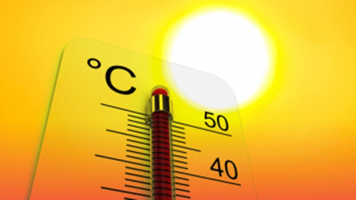 Canicule : quatre wilayas placées en vigilance jaune