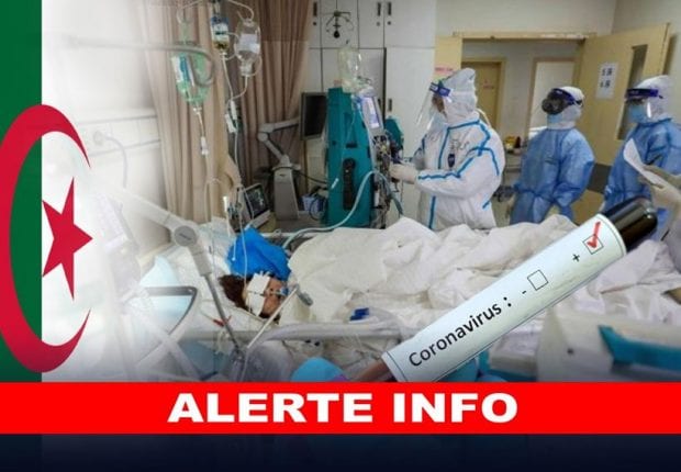Coronavirus Algérie : Baisse significative des contaminations au bilan du 02 septembre