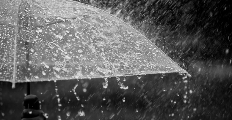 Météo : pluies orageuses sur plusieurs wilayas du Nord