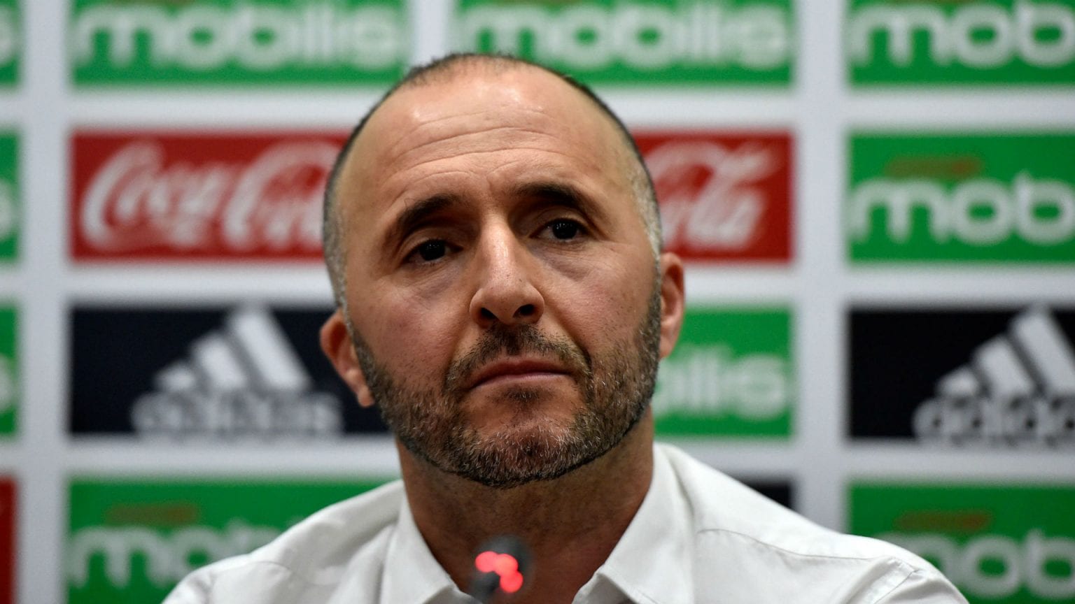 Belmadi va faire appel à de nouveaux joueurs pour le prochain stage des verts