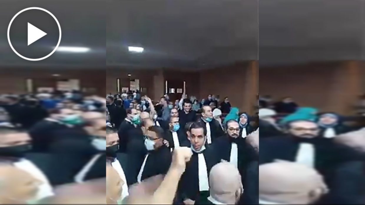 Sit-in des avocats à l’intérieur de la Cour d’Alger (vidéo)