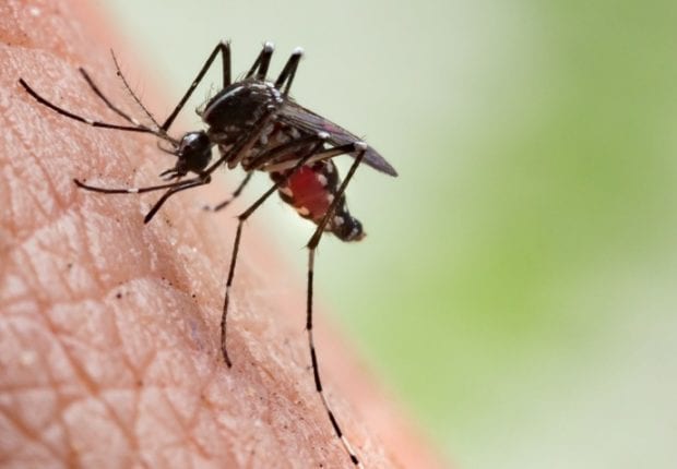 Plus de 1000 cas de « Malaria » enregistrés dans le Sud du pays