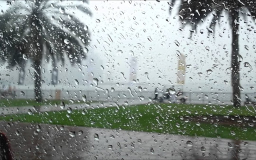 Météo Algérie : Pluies orageuses sur 8 wilayas du pays