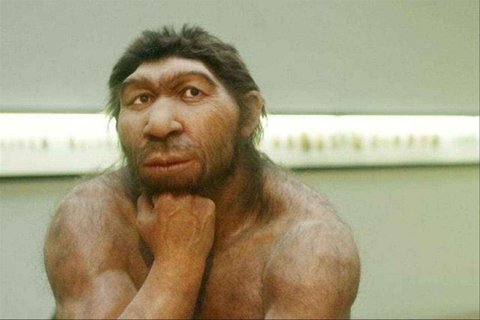 Coronavirus : Un fragment d’ADN favoriserait les formes graves du virus