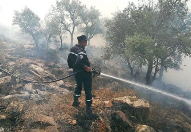 Médéa : 16,75 ha de forêt et 5.488 arbres fruitiers ravagés par les flammes
