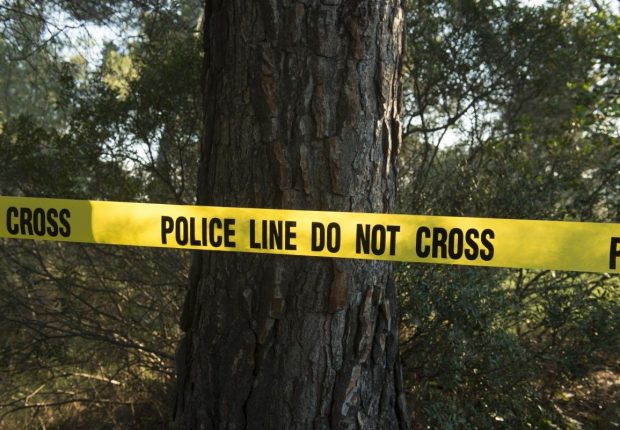 Sétif : Le corps d’une jeune femme retrouvé brûlé dans une forêt à El Eulma