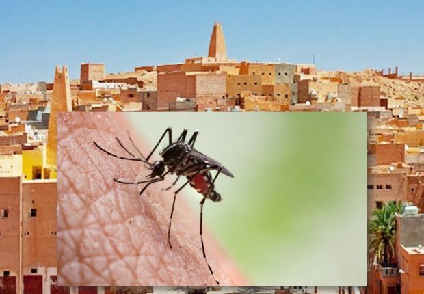 Ghardaïa : Plusieurs nouveaux cas de Paludisme dépistés