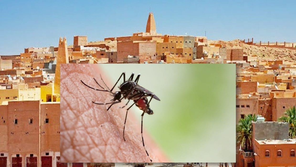Origine d’apparition des cas de paludisme : Une enquête diligentée à Ghardaïa