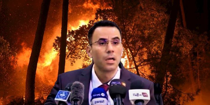 Affaire des feux de forêts de Tipasa : « Les incendiaires ont été payés de l’étranger », selon le procureur
