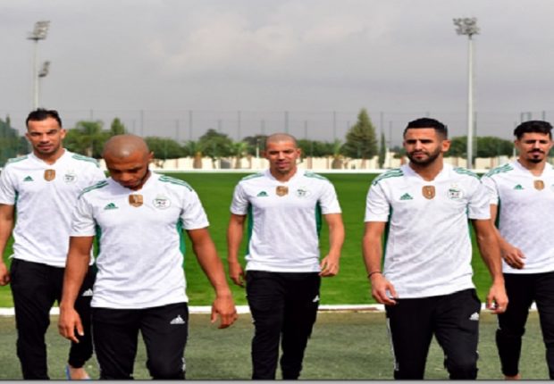 Equipe nationale : La FAF dévoile le nouveau maillot des verts