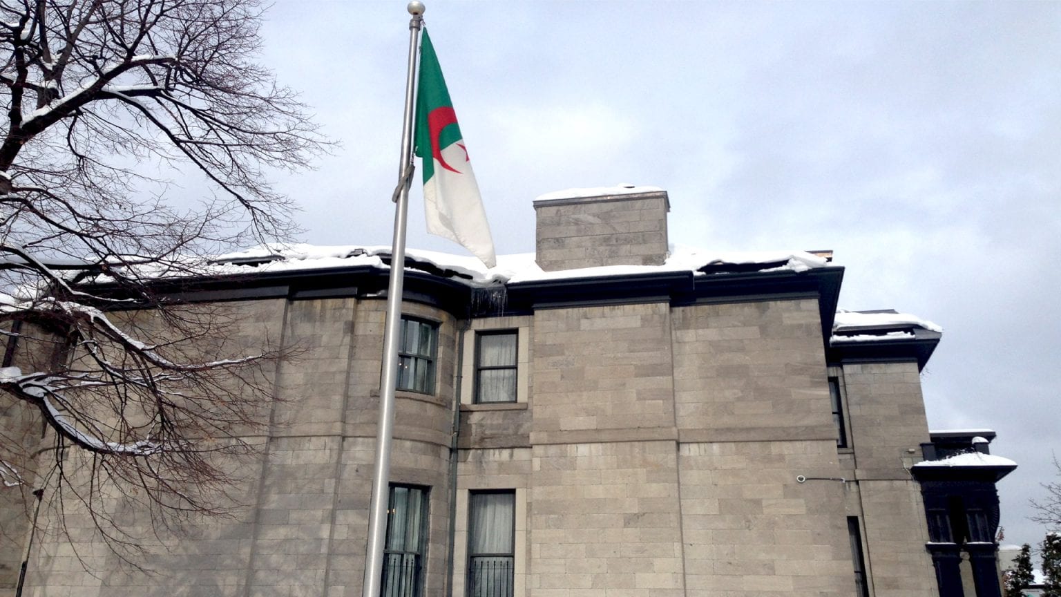 Algériens bloqués à l’étranger : Le Consulat d’Algérie à Montréal annonce une bonne nouvelle