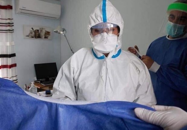 Coronavirus Algérie : 34 wilayas enregistrent de nouvelles contaminations