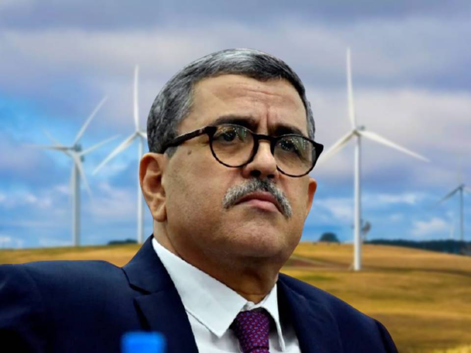 Djerad : « Le Gouvernement est déterminé à instaurer un modèle énergétique durable »