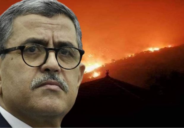 feux de forêt : Djerrad ordonne l&rsquo;ouverture d&rsquo;une enquête