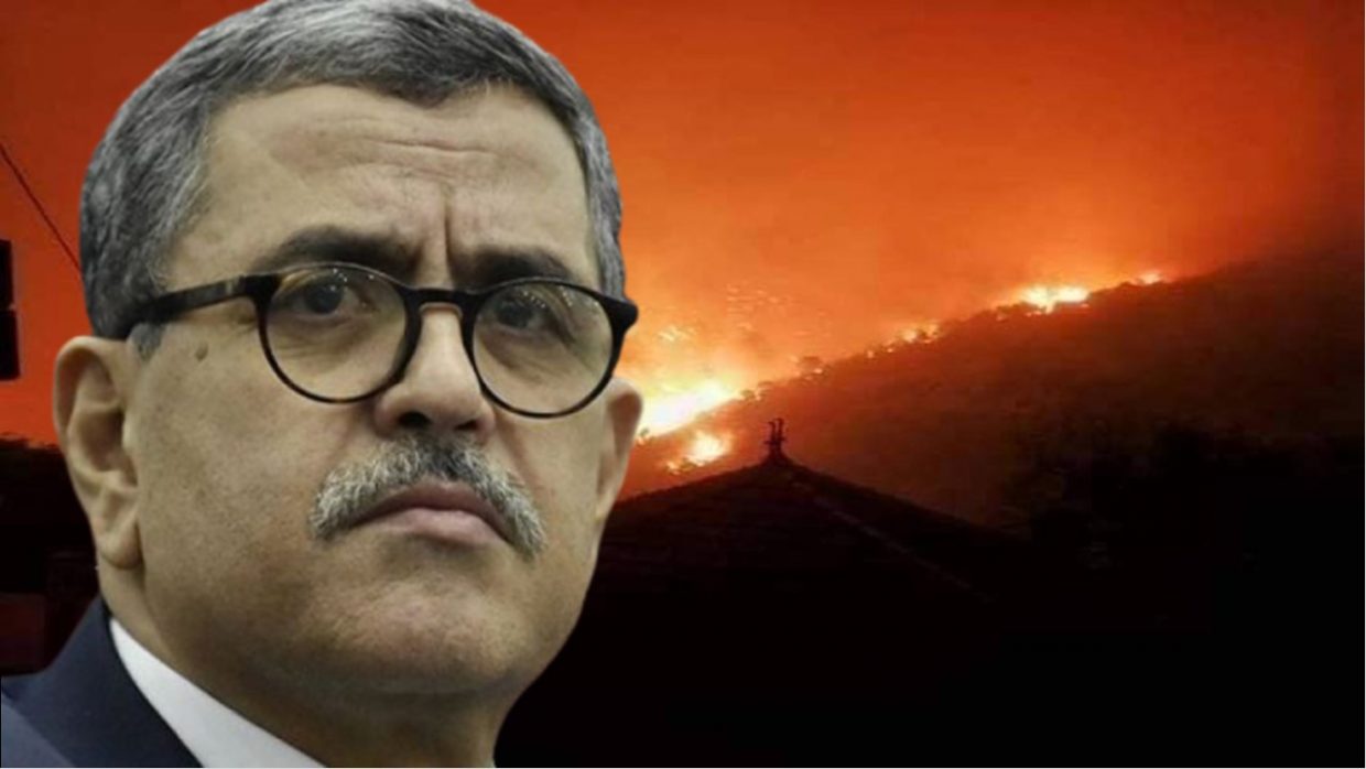 feux de forêt : Djerrad ordonne l’ouverture d’une enquête