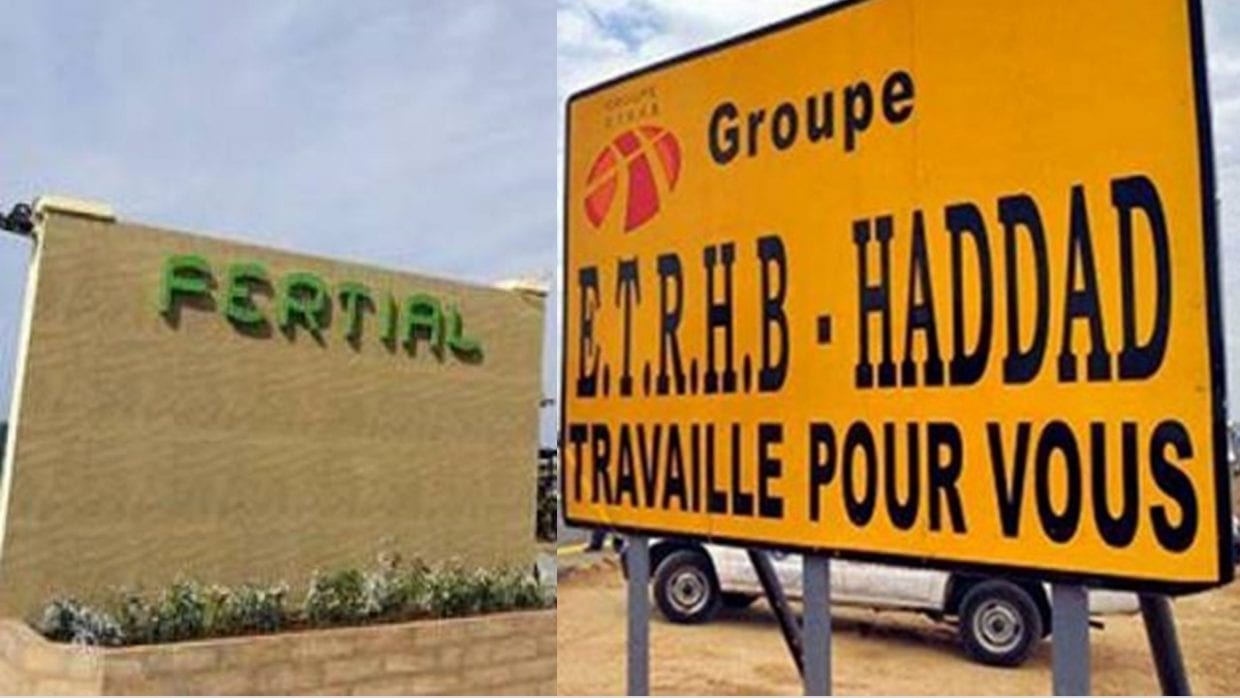 Procès en appel Haddad : l’entreprise algéro-espagnole « Fertial » acquittée