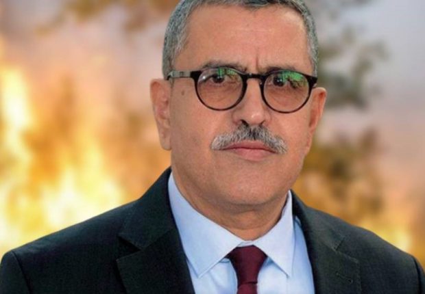 Feux de forêts : Djerad accélère « les procédures d’indemnisation des victimes »