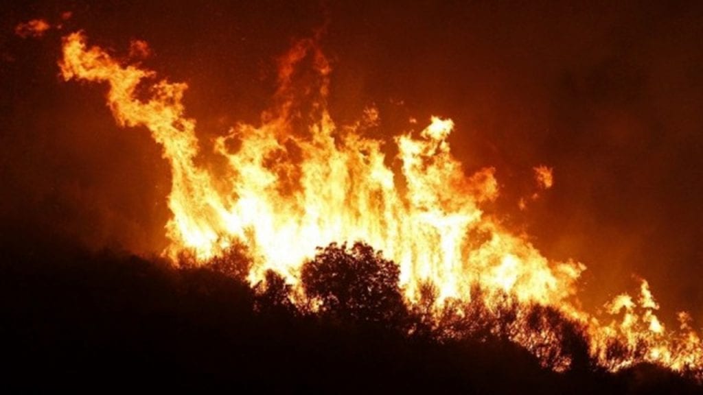 Selon Hamid Afra, « les indemnisations de l’État sont l’une des causes des feux de forêt »