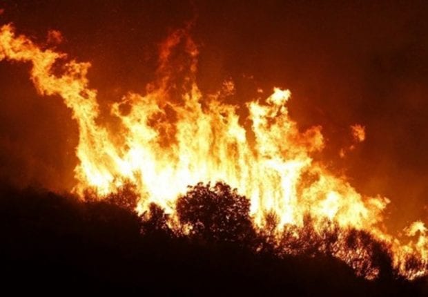 Selon Hamid Afra, « les indemnisations de l&rsquo;État sont l’une des causes des feux de forêt »  