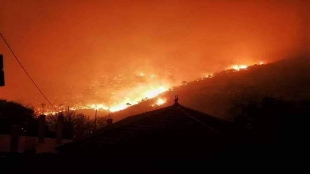 Tipaza : Aide financière et indemnisation pour les victimes des incendies de forêt
