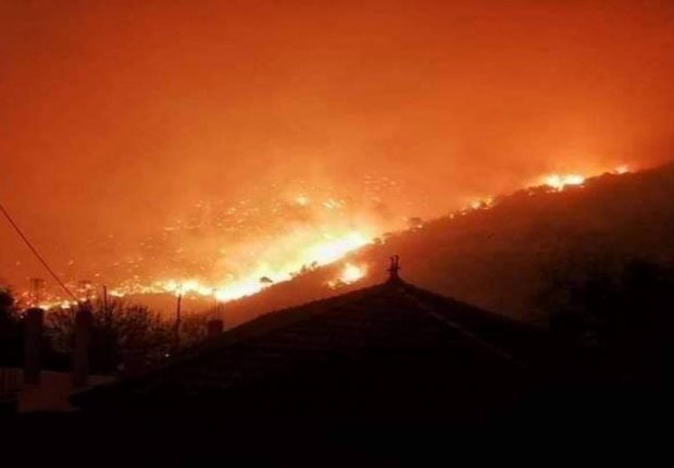 Tipaza : Aide financière et indemnisation pour les victimes des incendies de forêt