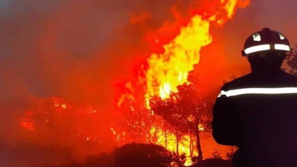 Feux de forêt : l&rsquo;hypothèse d&rsquo;un acte criminel n&rsquo;est pas écartée