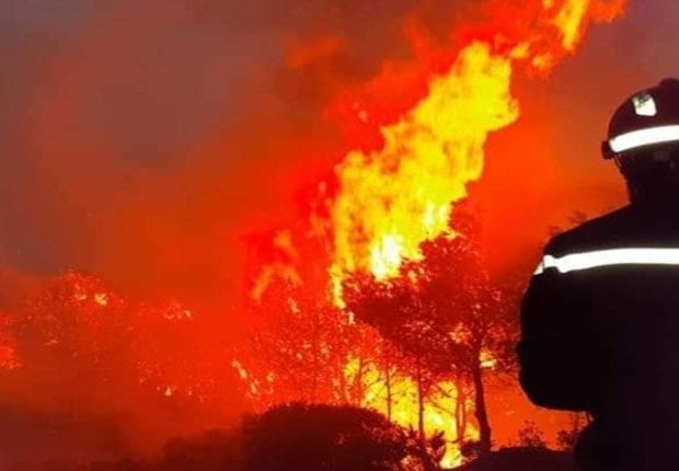 Feux de forêt : l&rsquo;hypothèse d&rsquo;un acte criminel n&rsquo;est pas écartée