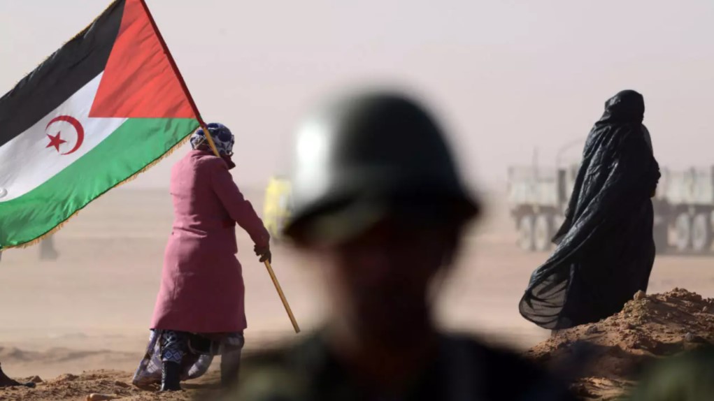 Les pays du Golfe soutiennent l’opération marocaine au Sahara Occidental