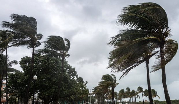 Alerte météo : Vents violents sur plusieurs wilayas 