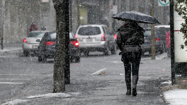 Alerte Météo: Chutes de neige attendues dans plusieurs wilayas