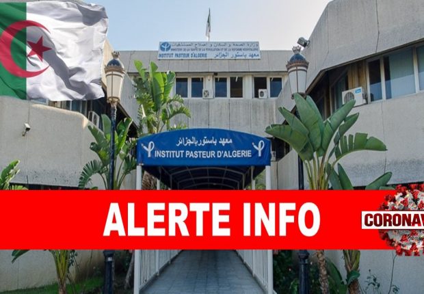 Covid-19 Algérie : Le bilan repart à la hausse
