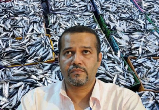 Ce que propose Mustapha Zebdi pour baisser les prix de la sardine