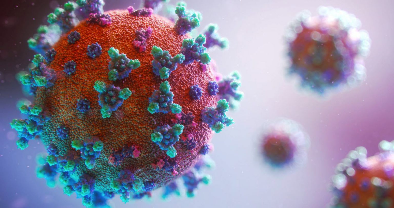 OMS : « Les nouveaux variants Covid-19 continuent leur progression »