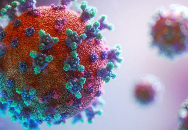 OMS : « Les nouveaux variants Covid-19 continuent leur progression »