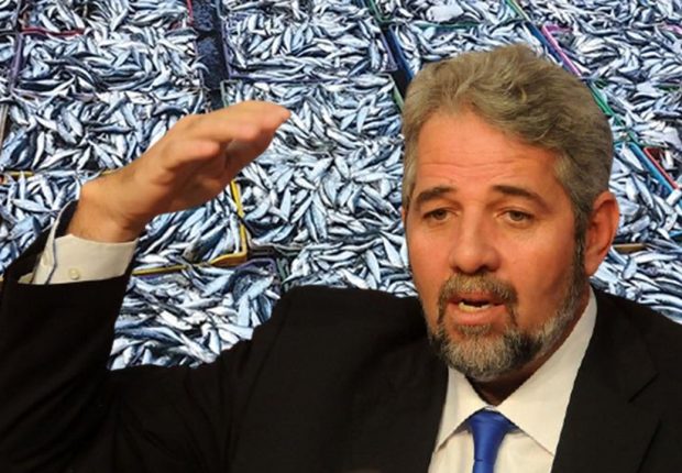 Flambée des prix de la sardine : le ministre de la Pêche s’exprime