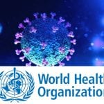 Origine du Covid-19 : l’OMS rend ses conclusions définitives