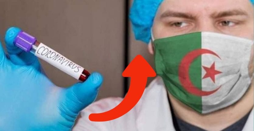 Sidi Bel-Abbès : Rebond des contaminations à la Covid-19