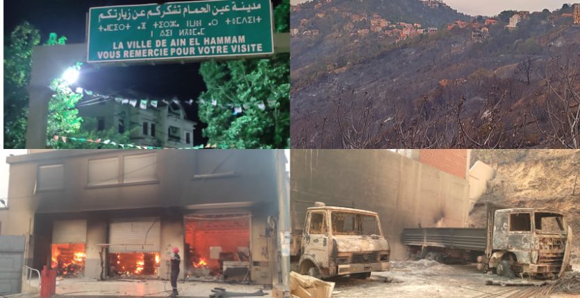 REPORTAGE. Incendies en Kabylie : retour sur l’horreur vécue à Ain El Hammam