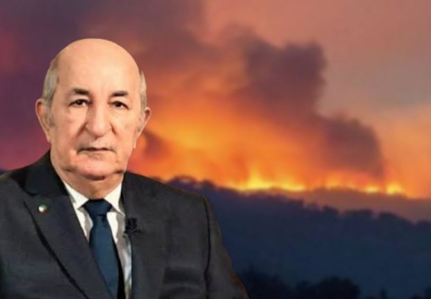 Feux de forêts en Algérie : Tebboune s’exprime