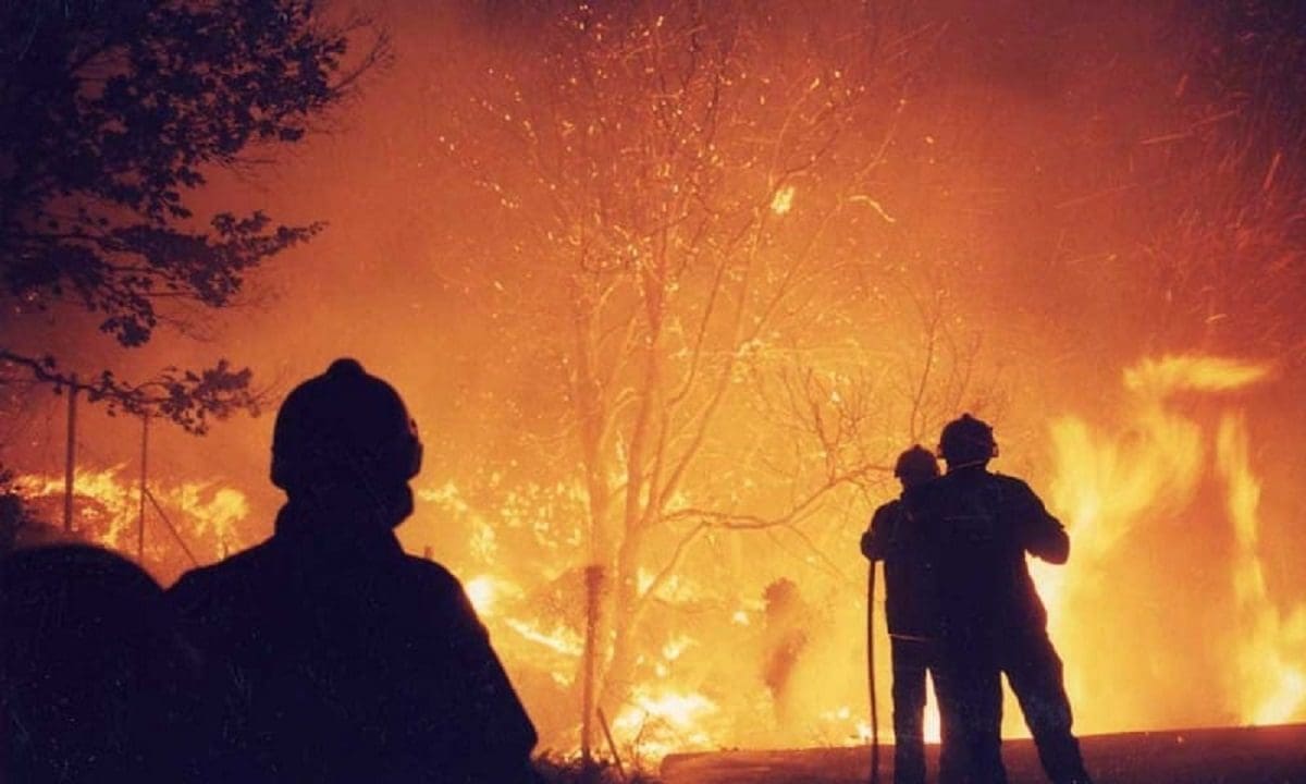 Protection civile : les flammes ravagent plusieurs wilayas