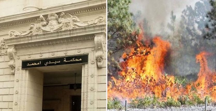 Incendies à Tizi Ouzou : 6 suspects devant le tribunal de Sidi M’hamed