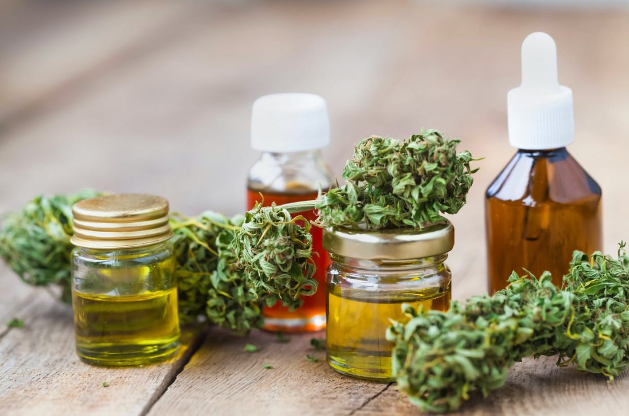 Fleurs, résines et huiles de CBD : quelles sont les différentes qualités disponibles ?