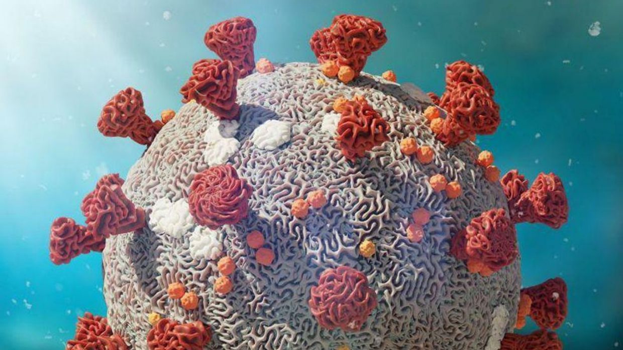 Différence entre les variants Omicron et Delta : l’OMS fait le point