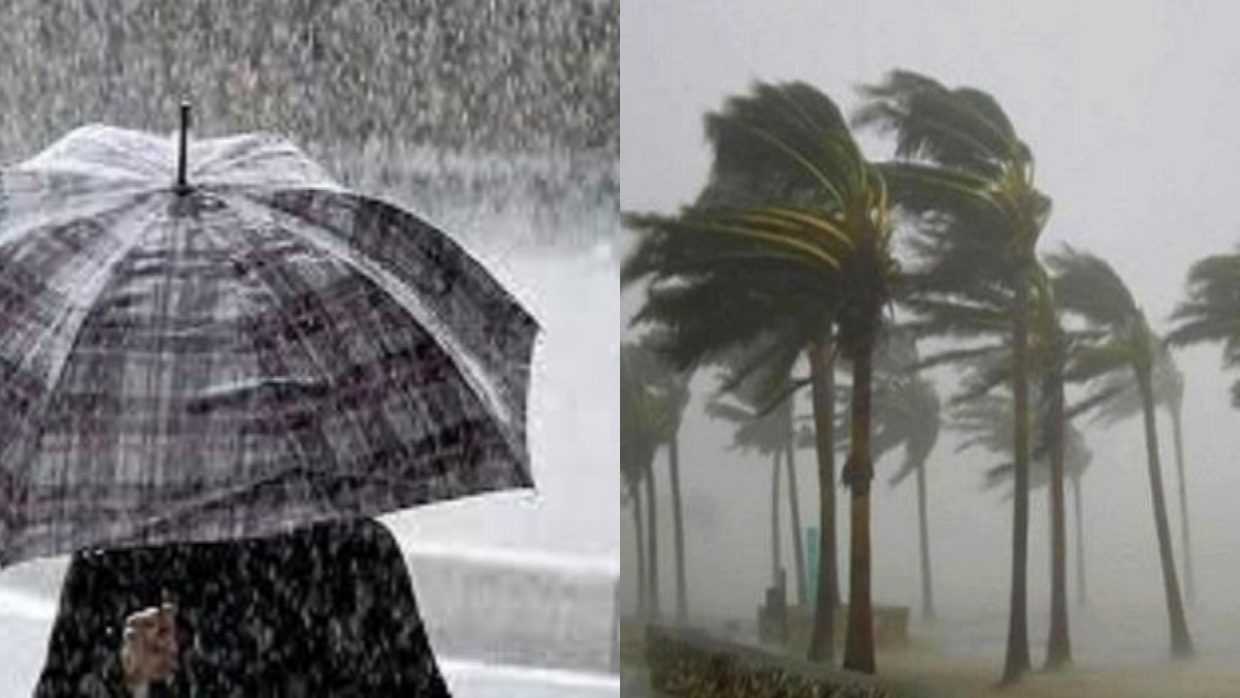 Alerte Météo : pluies et vents violents sur plusieurs wilayas